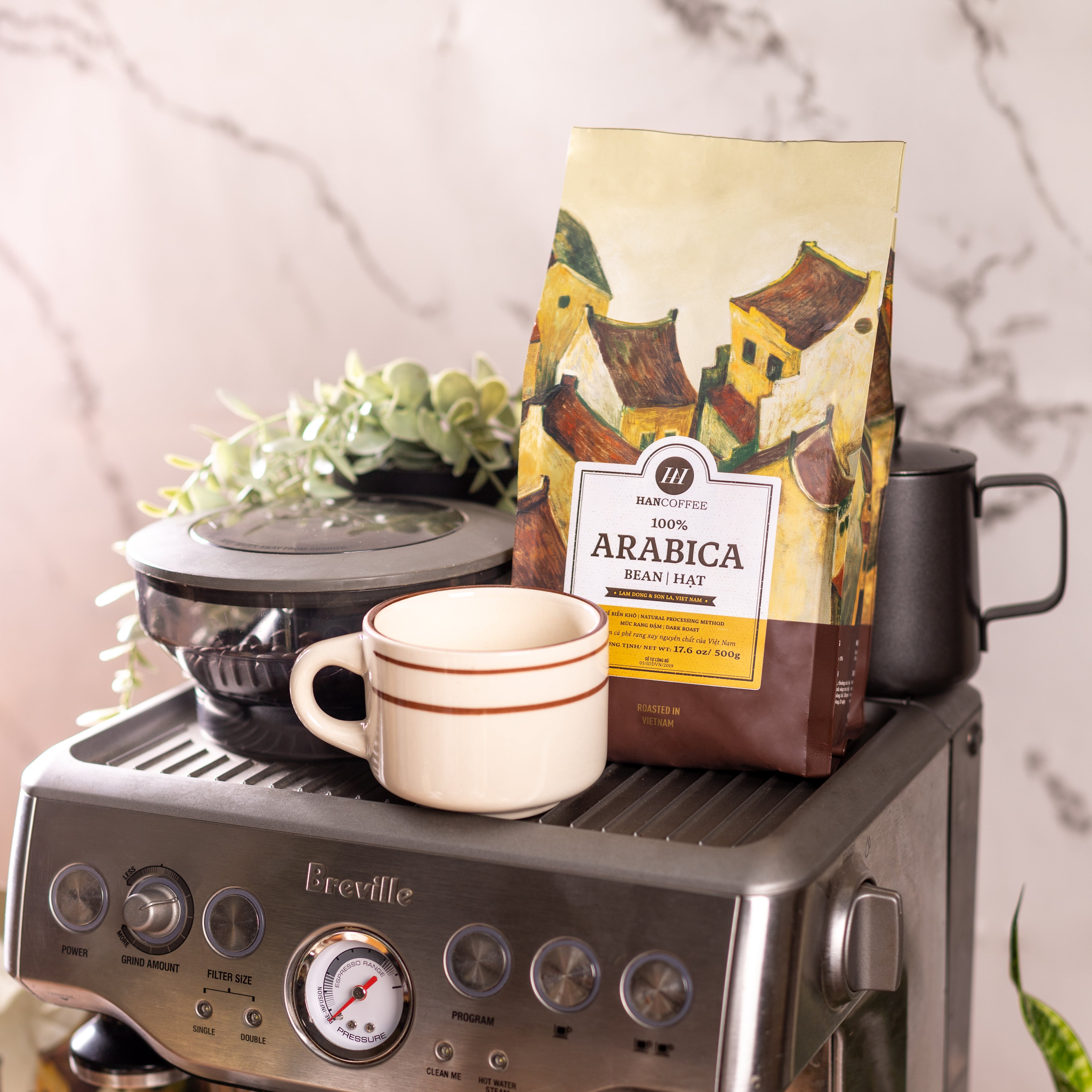Café Arabica (100% Arabica) - 500g